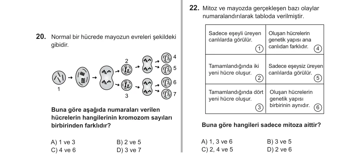 7. Sınıf Fen Bilimleri 2019 İOKBS Bursluluk Sınavı 22. Soru görseli
