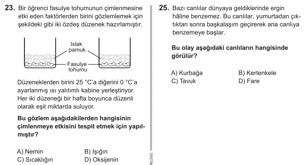 7. Sınıf Fen Bilimleri 2019 İOKBS Bursluluk Sınavı 23. Soru görseli