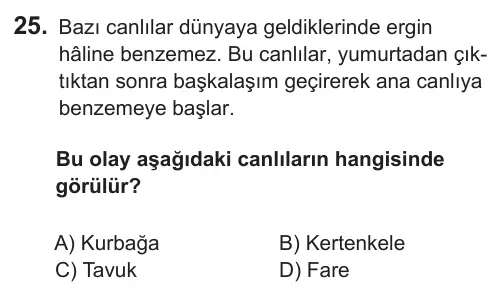 7. Sınıf Fen Bilimleri 2019 İOKBS Bursluluk Sınavı 25. Soru görseli