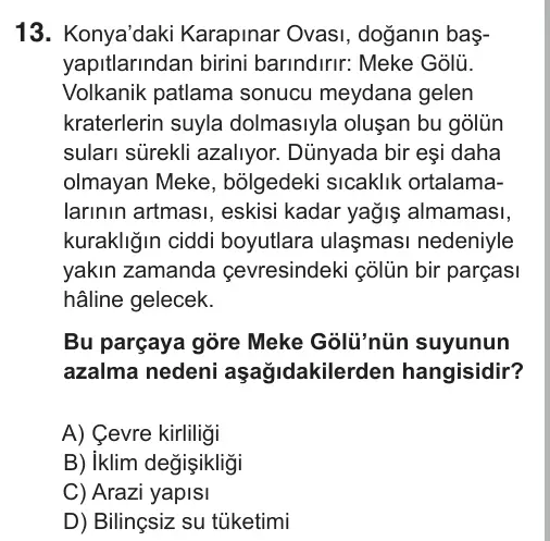7. Sınıf Türkçe 2019 İOKBS Bursluluk Sınavı 13. Soru görseli
