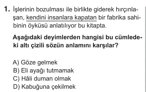7. Sınıf Türkçe 2019 İOKBS Bursluluk Sınavı 1. Soru görseli