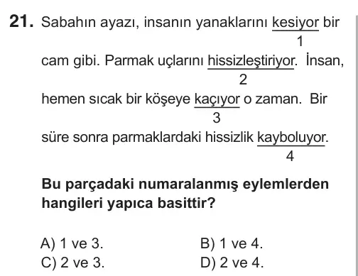 7. Sınıf Türkçe 2019 İOKBS Bursluluk Sınavı 21. Soru görseli