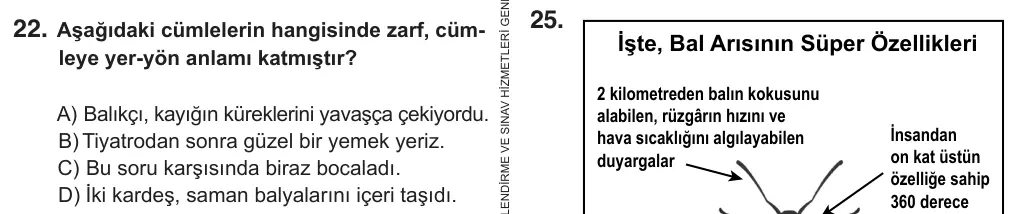 7. Sınıf Türkçe 2019 İOKBS Bursluluk Sınavı 22. Soru görseli