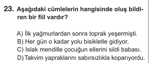 7. Sınıf Türkçe 2019 İOKBS Bursluluk Sınavı 23. Soru görseli