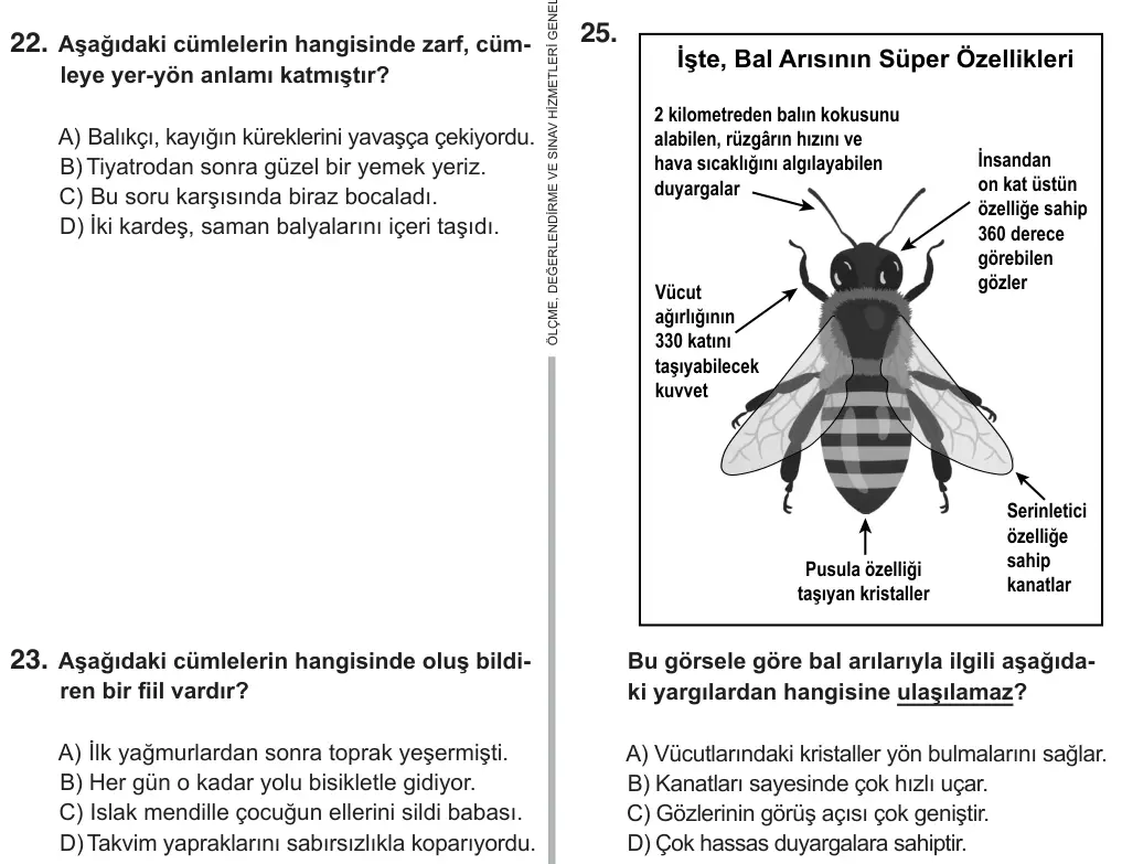 7. Sınıf Türkçe 2019 İOKBS Bursluluk Sınavı 25. Soru görseli
