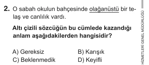 7. Sınıf Türkçe 2019 İOKBS Bursluluk Sınavı 2. Soru görseli