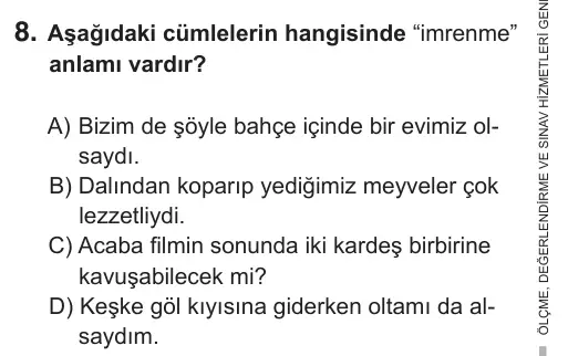7. Sınıf Türkçe 2019 İOKBS Bursluluk Sınavı 8. Soru görseli