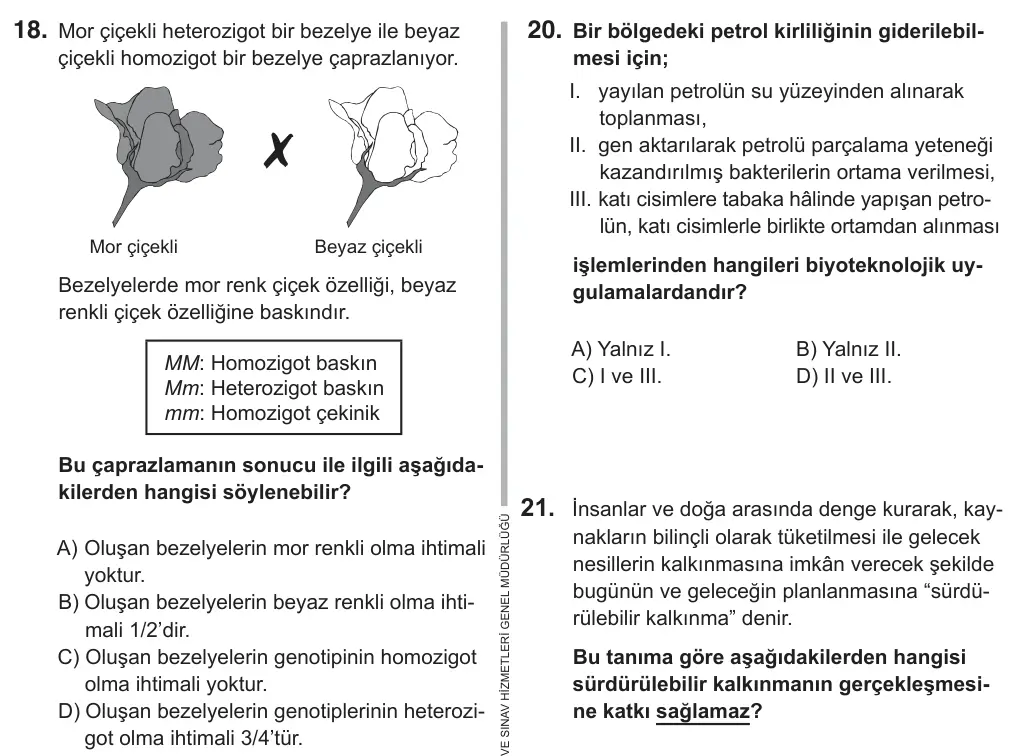 8. Sınıf Fen Bilimleri 2019 İOKBS Bursluluk Sınavı 18. Soru görseli