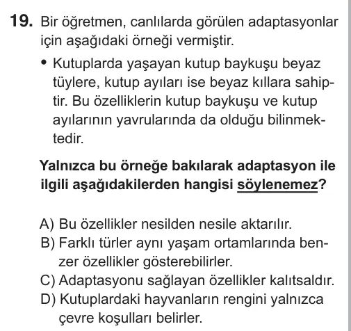 8. Sınıf Fen Bilimleri 2019 İOKBS Bursluluk Sınavı 19. Soru görseli