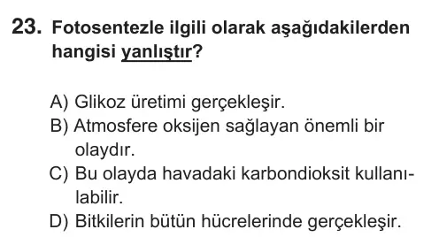 8. Sınıf Fen Bilimleri 2019 İOKBS Bursluluk Sınavı 23. Soru görseli