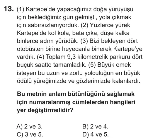 8. Sınıf Türkçe 2019 İOKBS Bursluluk Sınavı 13. Soru görseli