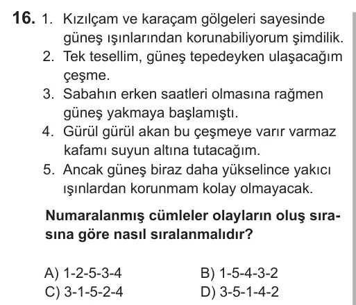 8. Sınıf Türkçe 2019 İOKBS Bursluluk Sınavı 16. Soru görseli