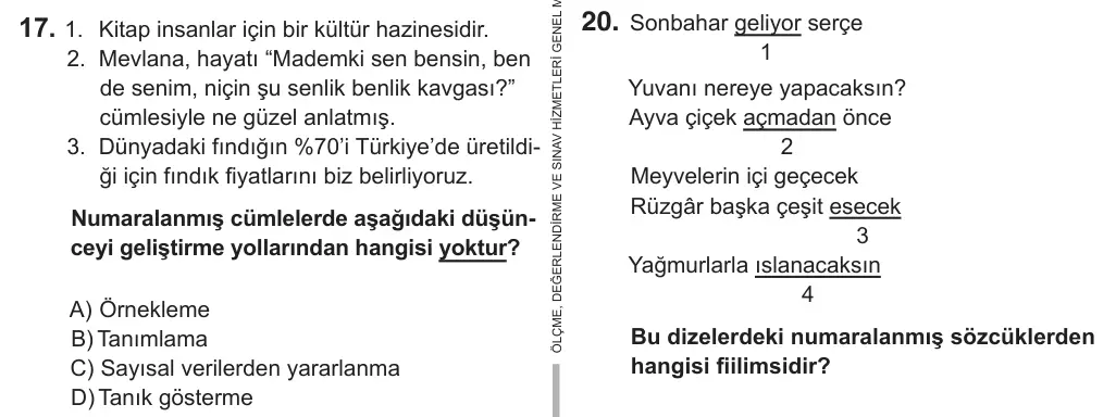 8. Sınıf Türkçe 2019 İOKBS Bursluluk Sınavı 17. Soru görseli