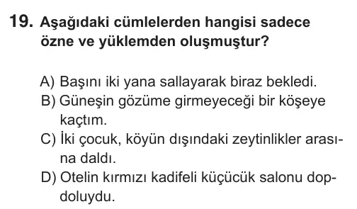 8. Sınıf Türkçe 2019 İOKBS Bursluluk Sınavı 19. Soru görseli