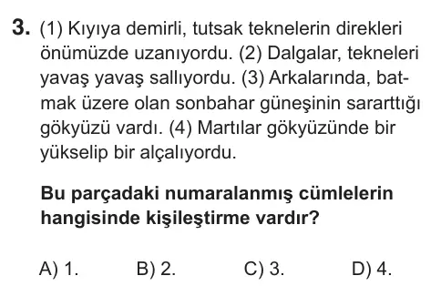 8. Sınıf Türkçe 2019 İOKBS Bursluluk Sınavı 3. Soru görseli