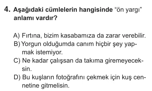 8. Sınıf Türkçe 2019 İOKBS Bursluluk Sınavı 4. Soru görseli