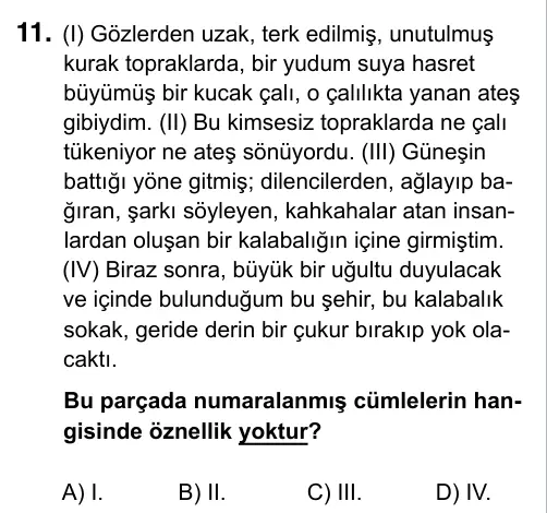 9, 10, 11. Sınıf Türk Dili ve Edebiyatı 2019 İOKBS Bursluluk Sınavı 11. Soru görseli