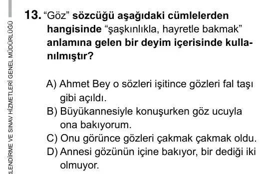 9, 10, 11. Sınıf Türk Dili ve Edebiyatı 2019 İOKBS Bursluluk Sınavı 13. Soru görseli