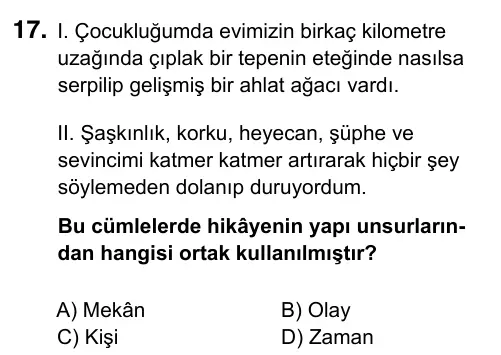 9, 10, 11. Sınıf Türk Dili ve Edebiyatı 2019 İOKBS Bursluluk Sınavı 17. Soru görseli