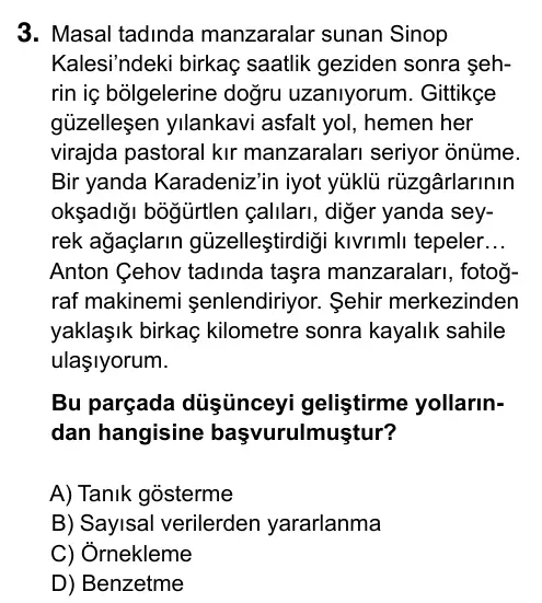 9, 10, 11. Sınıf Türk Dili ve Edebiyatı 2019 İOKBS Bursluluk Sınavı 3. Soru görseli