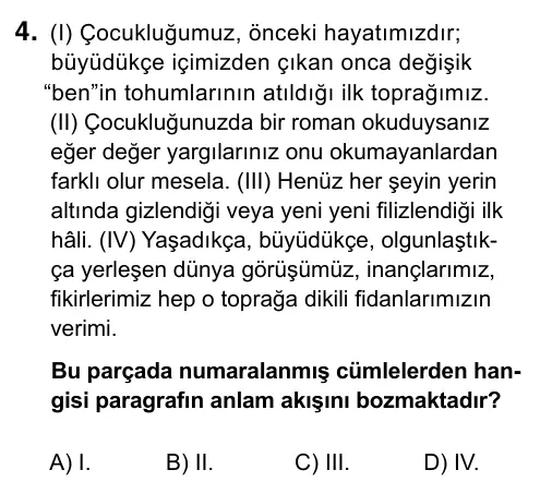 9, 10, 11. Sınıf Türk Dili ve Edebiyatı 2019 İOKBS Bursluluk Sınavı 4. Soru görseli