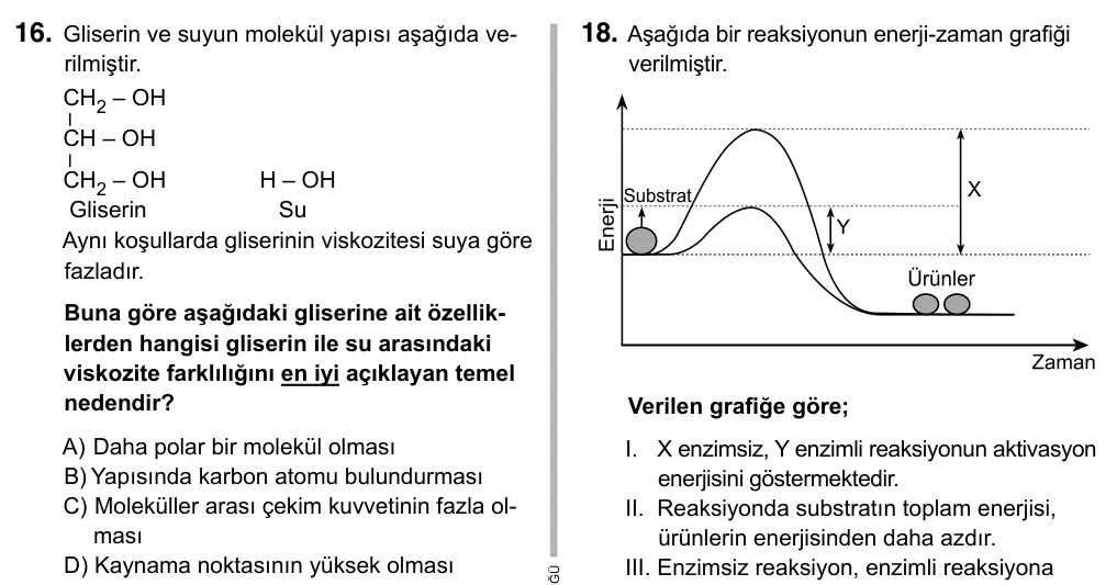9, 10, 11. Sınıf Fen Bilimleri 2019 İOKBS Bursluluk Sınavı 16. Soru görseli