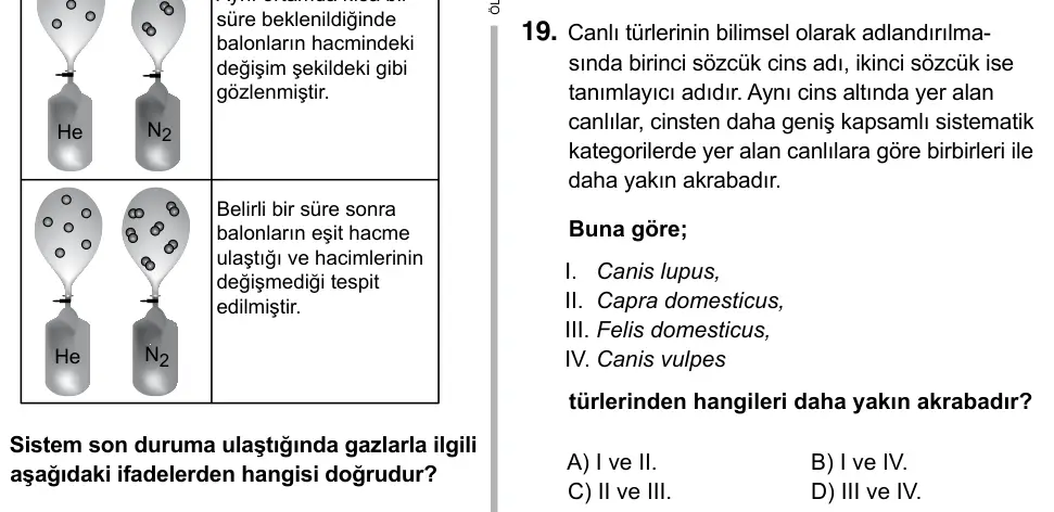 9, 10, 11. Sınıf Fen Bilimleri 2019 İOKBS Bursluluk Sınavı 19. Soru görseli