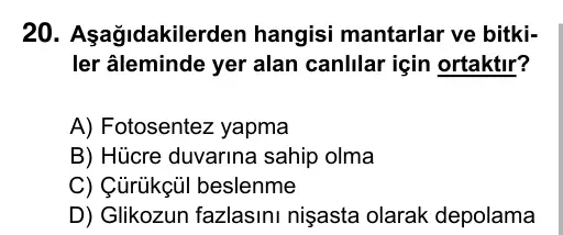 9, 10, 11. Sınıf Fen Bilimleri 2019 İOKBS Bursluluk Sınavı 20. Soru görseli