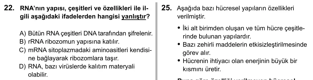 9, 10, 11. Sınıf Fen Bilimleri 2019 İOKBS Bursluluk Sınavı 22. Soru görseli