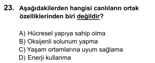 9, 10, 11. Sınıf Fen Bilimleri 2019 İOKBS Bursluluk Sınavı 23. Soru görseli