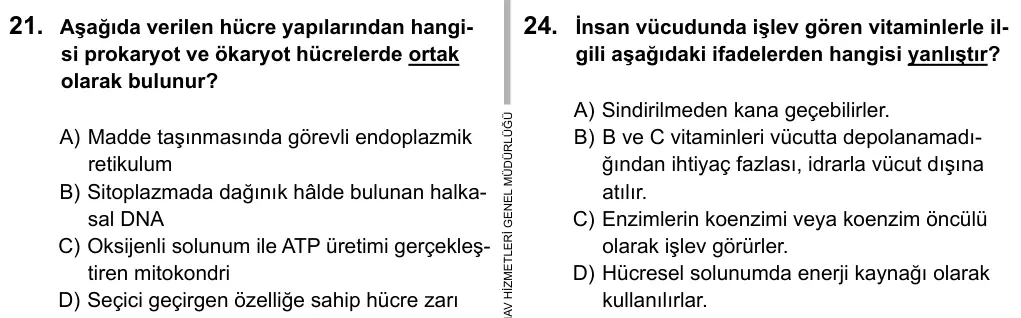 9, 10, 11. Sınıf Fen Bilimleri 2019 İOKBS Bursluluk Sınavı 24. Soru görseli