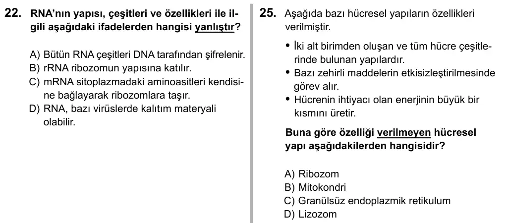 9, 10, 11. Sınıf Fen Bilimleri 2019 İOKBS Bursluluk Sınavı 25. Soru görseli