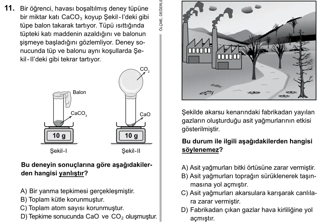 Hazırlık Sınıfı Fen Bilimleri 2019 İOKBS Bursluluk Sınavı 11. Soru görseli