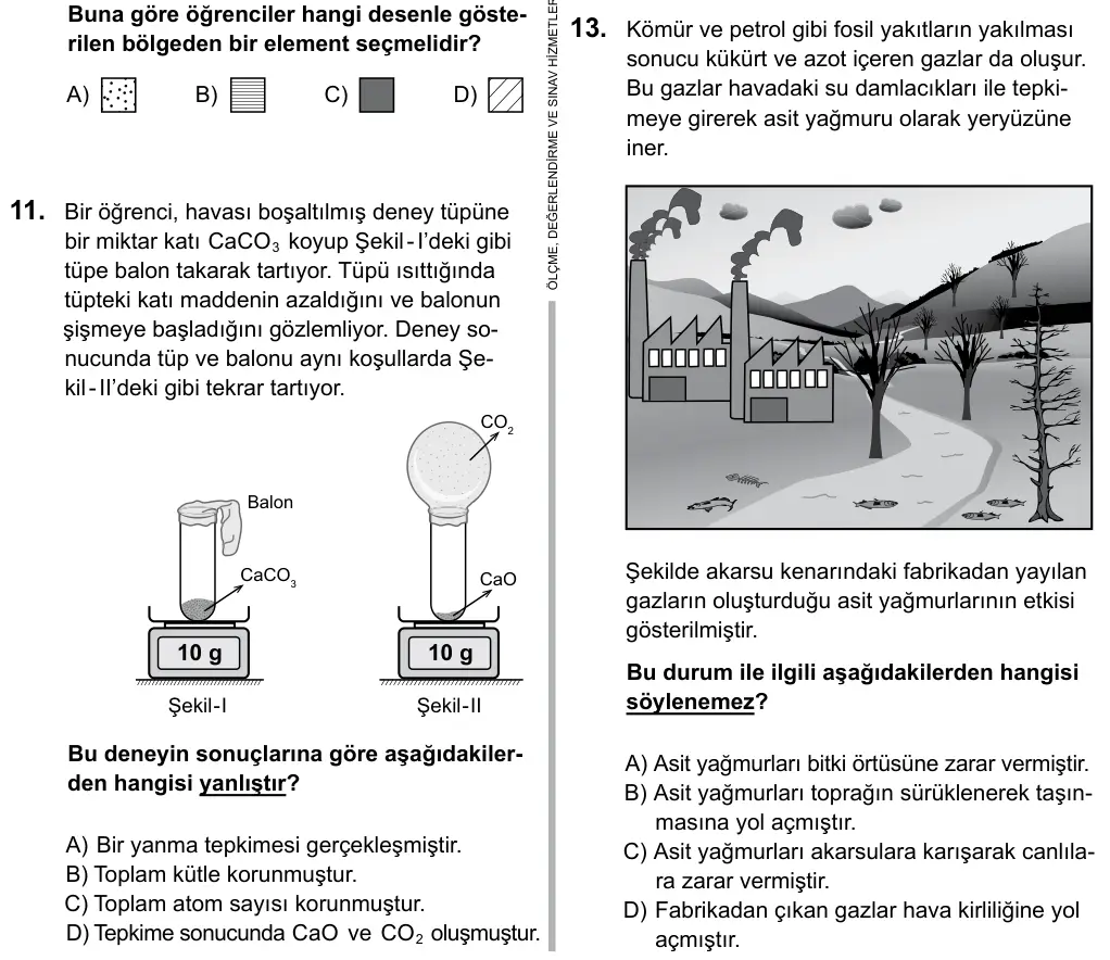 Hazırlık Sınıfı Fen Bilimleri 2019 İOKBS Bursluluk Sınavı 13. Soru görseli