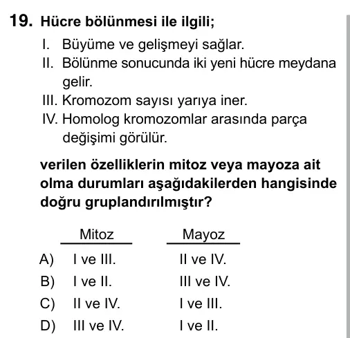 Hazırlık Sınıfı Fen Bilimleri 2019 İOKBS Bursluluk Sınavı 19. Soru görseli