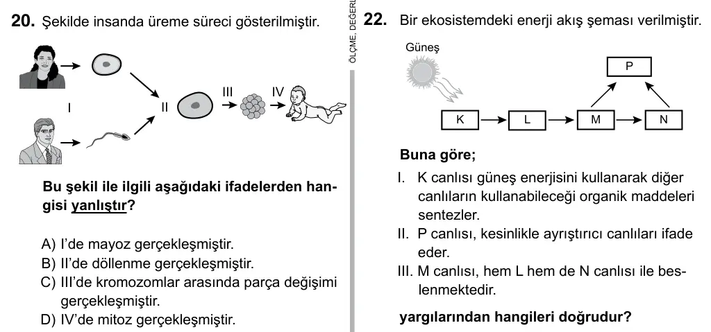 Hazırlık Sınıfı Fen Bilimleri 2019 İOKBS Bursluluk Sınavı 20. Soru görseli
