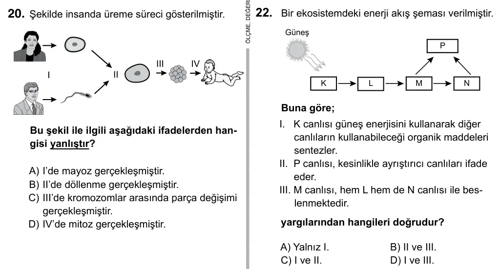 Hazırlık Sınıfı Fen Bilimleri 2019 İOKBS Bursluluk Sınavı 22. Soru görseli