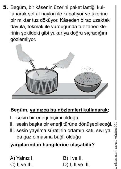 Hazırlık Sınıfı Fen Bilimleri 2019 İOKBS Bursluluk Sınavı 5. Soru görseli