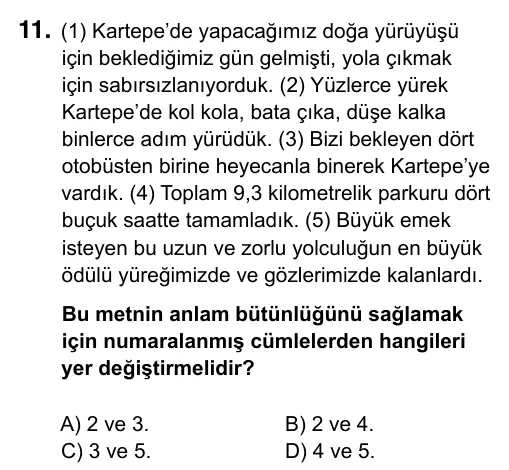 Hazırlık Sınıfı Türkçe 2019 İOKBS Bursluluk Sınavı 11. Soru görseli