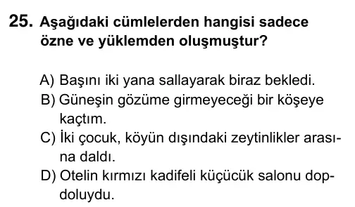 Hazırlık Sınıfı Türkçe 2019 İOKBS Bursluluk Sınavı 25. Soru görseli