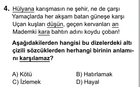 Hazırlık Sınıfı Türkçe 2019 İOKBS Bursluluk Sınavı 4. Soru görseli