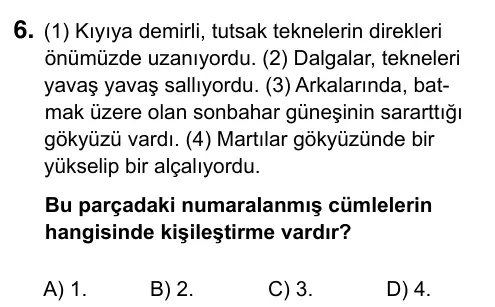 Hazırlık Sınıfı Türkçe 2019 İOKBS Bursluluk Sınavı 6. Soru görseli