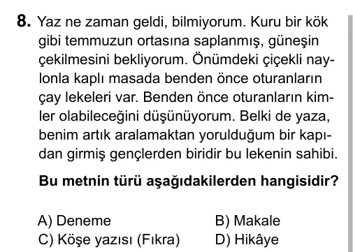 Hazırlık Sınıfı Türkçe 2019 İOKBS Bursluluk Sınavı 8. Soru görseli