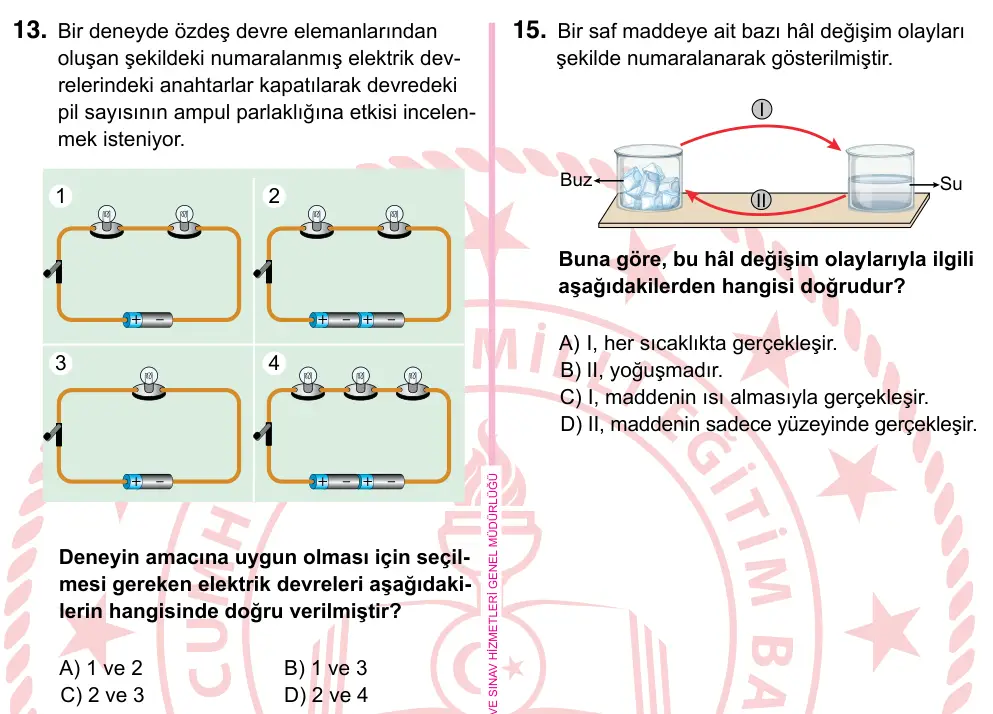 5. Sınıf Fen Bilimleri 2022 İOKBS Bursluluk Sınavı 13. Soru görseli