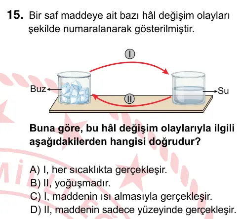 5. Sınıf Fen Bilimleri 2022 İOKBS Bursluluk Sınavı 15. Soru görseli