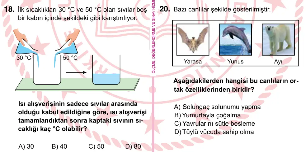 5. Sınıf Fen Bilimleri 2022 İOKBS Bursluluk Sınavı 18. Soru görseli