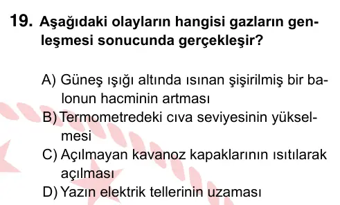 5. Sınıf Fen Bilimleri 2022 İOKBS Bursluluk Sınavı 19. Soru görseli