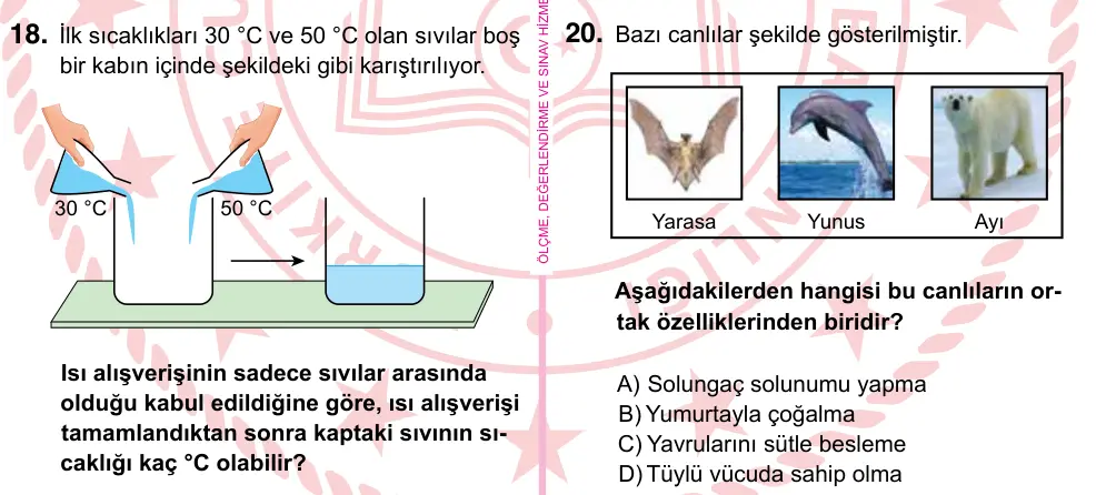 5. Sınıf Fen Bilimleri 2022 İOKBS Bursluluk Sınavı 20. Soru görseli