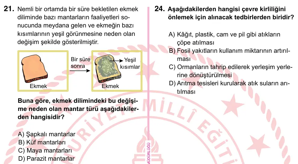 5. Sınıf Fen Bilimleri 2022 İOKBS Bursluluk Sınavı 21. Soru görseli