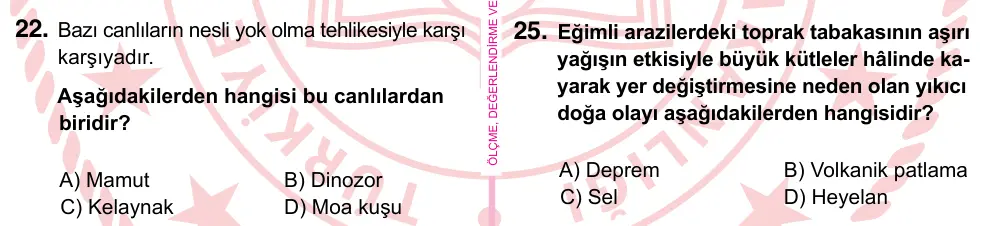 5. Sınıf Fen Bilimleri 2022 İOKBS Bursluluk Sınavı 22. Soru görseli